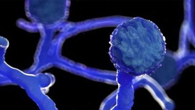 بعد انتشار الشائعة.. 