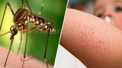 فيروس غرب النيل.. العالم في انتظار جائحة جديدة والبعوض كلمة السر