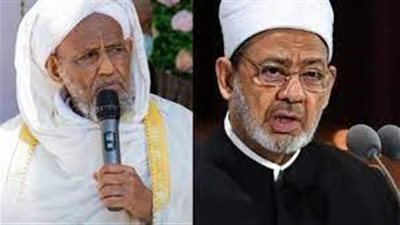 مفتي إثيوبيا يوجه رسالة إلى شيخ الأزهر ويذكره بـ«الملك النجاشي»