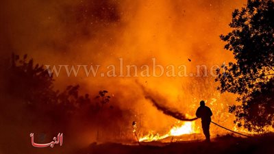 القصة الكاملة لوفاة 4 مصريين في حرائق قبرص