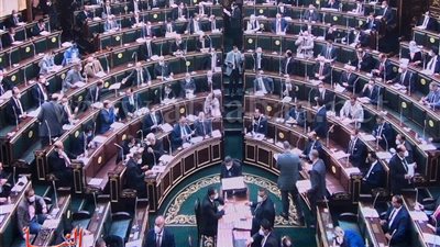 طلب إحاطة بشأن انتشار مصحات علاج الإدمان غير المرخصة: انتشرت بالمخالفة للقانون