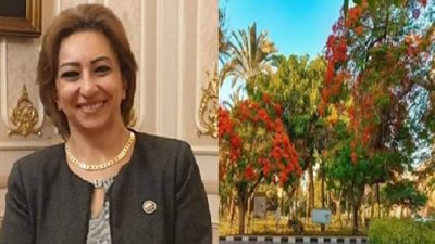 بالفيديو.. سر التخوف من مشروع محور الجزائر في حي المعادي