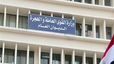 القوى العاملة: تعيين 855 شابا بينهم 5 من ذوى الهمم بالدقهلية