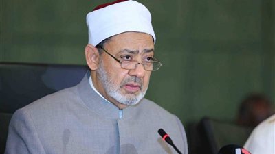 آخر تطورات الحالة الصحية لشيخ الأزهر في ألمانيا 
