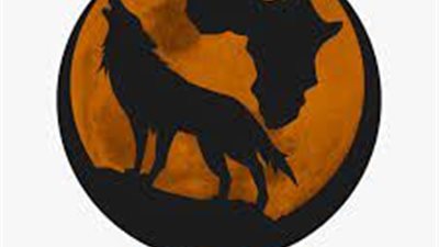 المجموعة الافريقية تؤمن الظهور الأول لجماهير الزمالك بالمدرجات