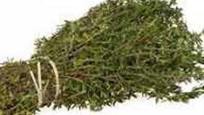 هذا ما يفعله «الزعتر» في جسمك عند تناوله في الشتاء 