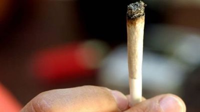 صندوق مكافحة الإدمان يزف خبرًا سارًا بشأن متعاطي المخدرات بالمؤسسات الحكومية