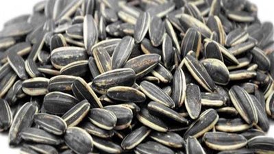 فوائد خيالية لمرضى السكري عند تناول «اللب السوري»