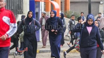 تفاصيل تعطيل الدراسة السبت المقبل بالإسكندرية وهذه الفئات مستثناة