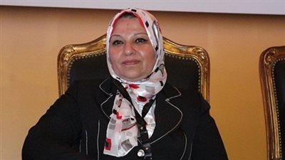 تعاون بين «نقل الكهرباء» و«السويدي» لتأمين مشروع «مونوريل» العاصمة الإدارية