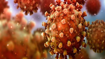 تطعيم مليون و50 ألف مواطن بلقاح فيروس كورونا في المنوفية