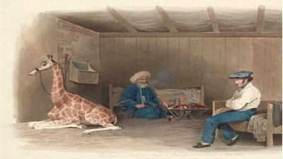 معرض النمسا والعالم العربي.. رحلة عبر 1000 عام بحديقة قصر عابدين 