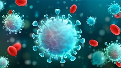 أستاذ طب وقائي: المعلومات الواردة من جنوب أفريقيا لا تشير إلى وفيات بسبب 