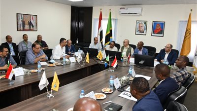 «الجزار» يجتمع بوزير الطاقة التنزاني لاستعراض تطورات مشروع «جوليوس نيريري»