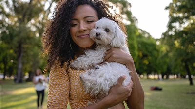 دراسة علمية: مالكو الكلاب 