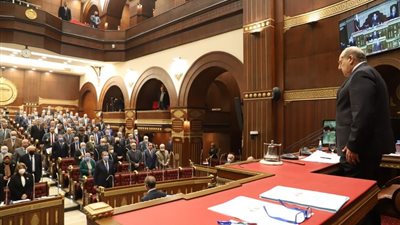 مجلس الشيوخ يقف دقيقة حدادًا على روح الكاتب الصحفي إبراهيم حجازي