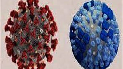 البرازيل تعلن تسجيل 4 إصابات بـ«فلورونا»