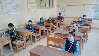 صعب وجاي من آخر المنهج.. شكاوي تلاميذ وأولياء الأمور من امتحانات العلوم للصف الرابع الابتدائي