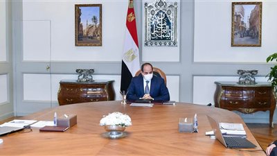 تفاصيل اجتماع الرئيس السيسي بوزير قطاع الأعمال العام بحضور «مدبولي»