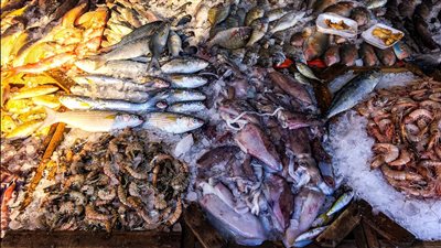 أسعار السمك اليوم الإثنين 19 - 5 - 2025