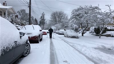 حالة الطقس غدًا الخميس 3 فبراير 2022.. ارتفاع نسبي في درجات الحرارة 