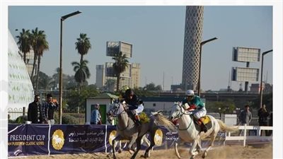 الهيئة العليا تستأنف نشاط الموسم الشتوى بمهرجان الخيول العربية الأصيلة 