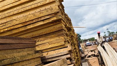 أسعار الخشب اليوم الأربعاء 14 - 6 - 2023