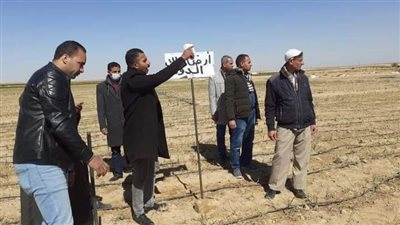 استرداد 101 فدان بمركز ديرمواس بالمنيا ضمن الموجة 19 لإزالة التعديات