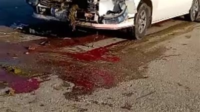 نفوق أكثر من 20 رأس ماشية في حادث بالفيوم