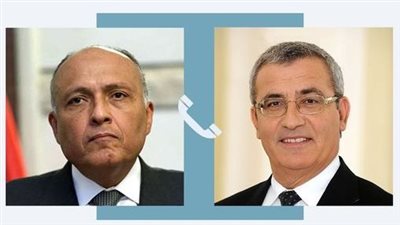 تفاصيل الاتصال الهاتفي بين سامح شكري وزير الخارجية المالطي