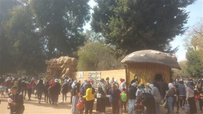 70 ألف زائر يوميا.. رئيس حديقة الحيوان بالجيزة يكشف أسباب الإقبال عليها 