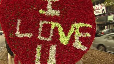 7 علامات على الوقوع في الحب 