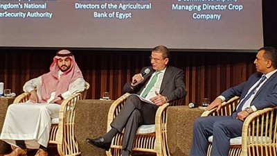 علاء فاروق: البنك المركزي يقود تجربة رائدة للتحول الرقمي في القطاع المصرفي