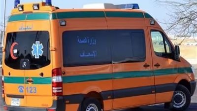 حادث الشرقية: تفاصيل مصرع شاب وإصابة آخر في حادث ببلبيس