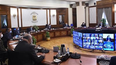 محافظ المنيا يشارك في اجتماع مجلس المحافظين عبر تقنية الفيديو كونفرانس