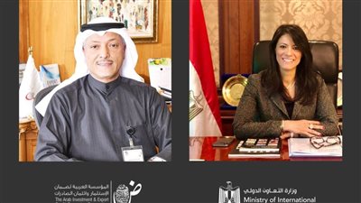 تفاصيل لقاء وزيرة التعاون الدولي ومدير المؤسسة العربية لضمان الاستثمار وائتمان الصادرات