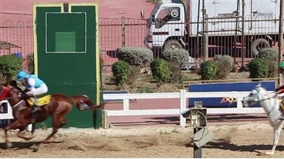 تعرف على أبطال مهرجان الخيول العربية في الجزيرة