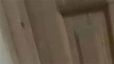 قصة زوج حبس زوجته 4 سنوات بحجة مرض نفسيا في الحوامدية