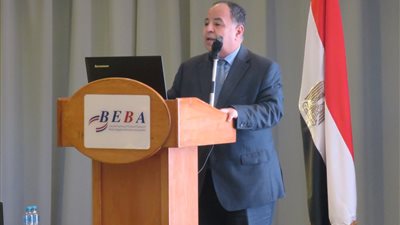 وزير المالية يدعو إلى رؤية أفريقية موحدة في قضايا التمويل وتغير المناخ