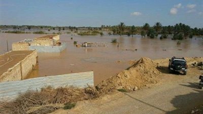 تلف المحاصيل الزراعية في الغربية بسبب سوء الأحوال الجوية