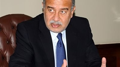 رئيس الوزراء يتفقد قرية 