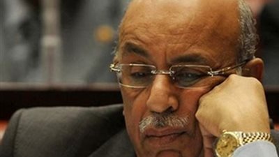 شهاب: عملية التنمية ليست مقصورة على مشروعات الدولة