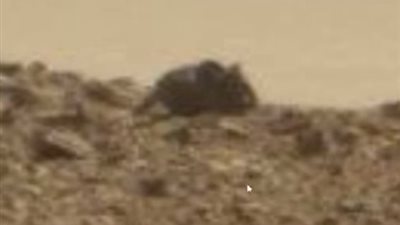 هناك حياة على سطح المريخ والدليل 