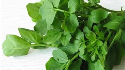 الجرجير يساعد على الهضم و تنقية الدم من السموم