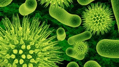 الفيروسات لا تصنف مع الميكروبات !