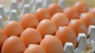 اتحاد منتجي الدواجن: تخفيض سعر كرتونة البيض فى هذا الموعد