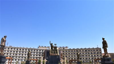 محافظ أسون: تحية لكل شهيد لما قدمه للبلاد