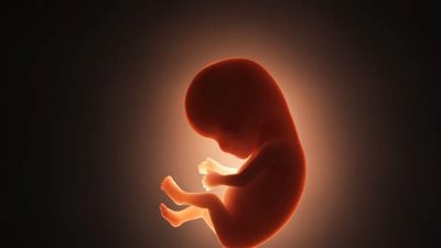 علماء صينيون يبتكرون روبوت ليعمل كرحم صناعي