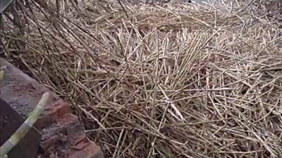 انقلاب قطار ديكوفيل فى أسوان.. اعرف التفاصيل 