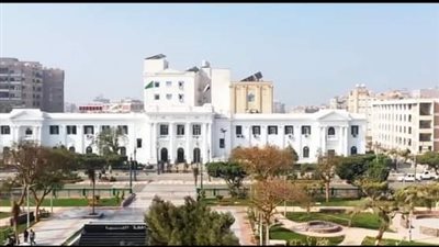 محافظة المنيا: فتح باب الترخيص للسيارات الميكروباص الأجرة بـ6 وحدات قروية 